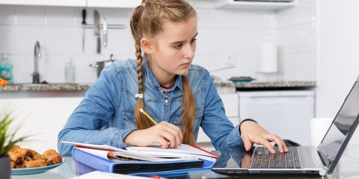 Private at home tutoring through online computer